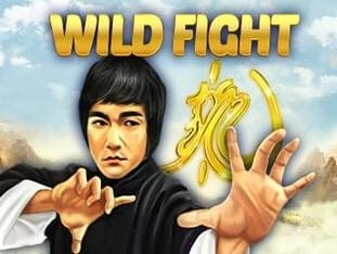 Wild Fight icon